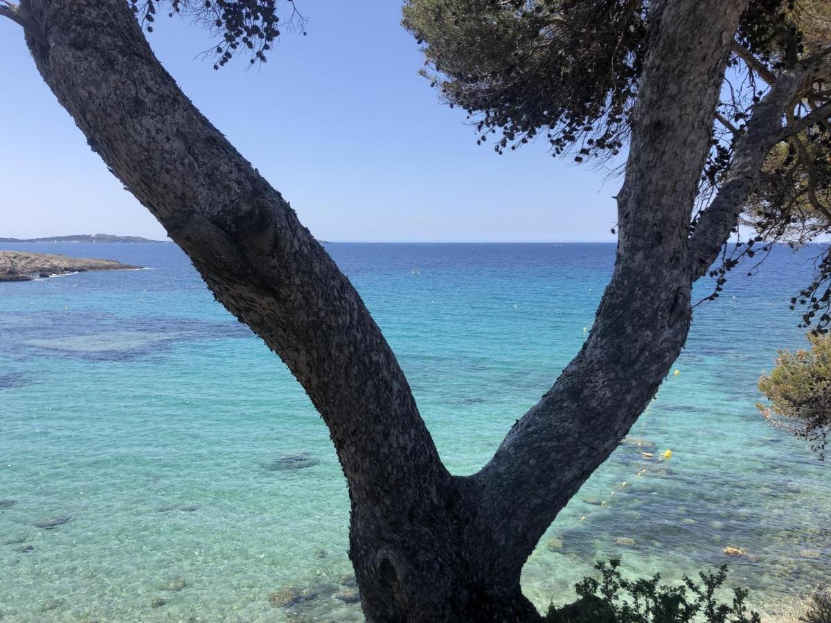 Les Baux 2 Sanary Sur Mer المظهر الخارجي الصورة